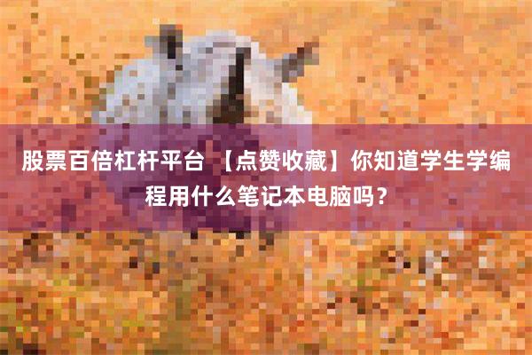 股票百倍杠杆平台 【点赞收藏】你知道学生学编程用什么笔记本电脑吗？