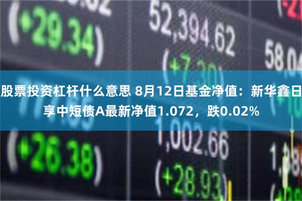 股票投资杠杆什么意思 8月12日基金净值：新华鑫日享中短债A最新净值1.072，跌0.02%