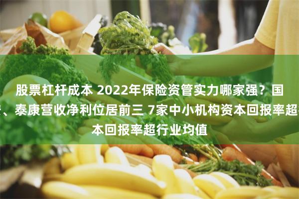 股票杠杆成本 2022年保险资管实力哪家强？国寿、平安、泰康营收净利位居前三 7家中小机构资本回报率超行业均值