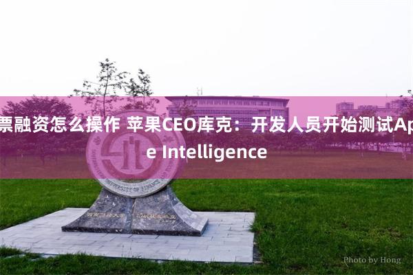 股票融资怎么操作 苹果CEO库克：开发人员开始测试Apple Intelligence