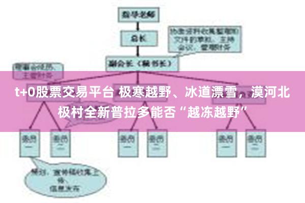 t+0股票交易平台 极寒越野、冰道漂雪，漠河北极村全新普拉多能否“越冻越野”