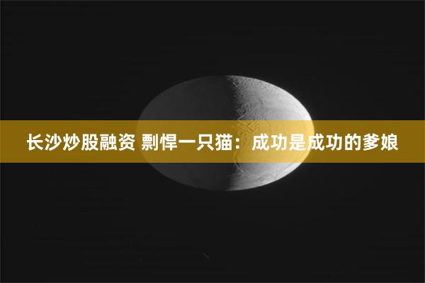 长沙炒股融资 剽悍一只猫：成功是成功的爹娘