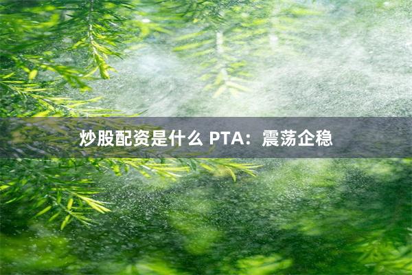 炒股配资是什么 PTA：震荡企稳